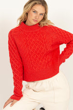 Raglan Sleeve Cable Knit. Sweater - Red
